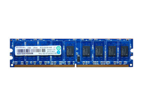 Ramax ECC/DDR2/667/2G